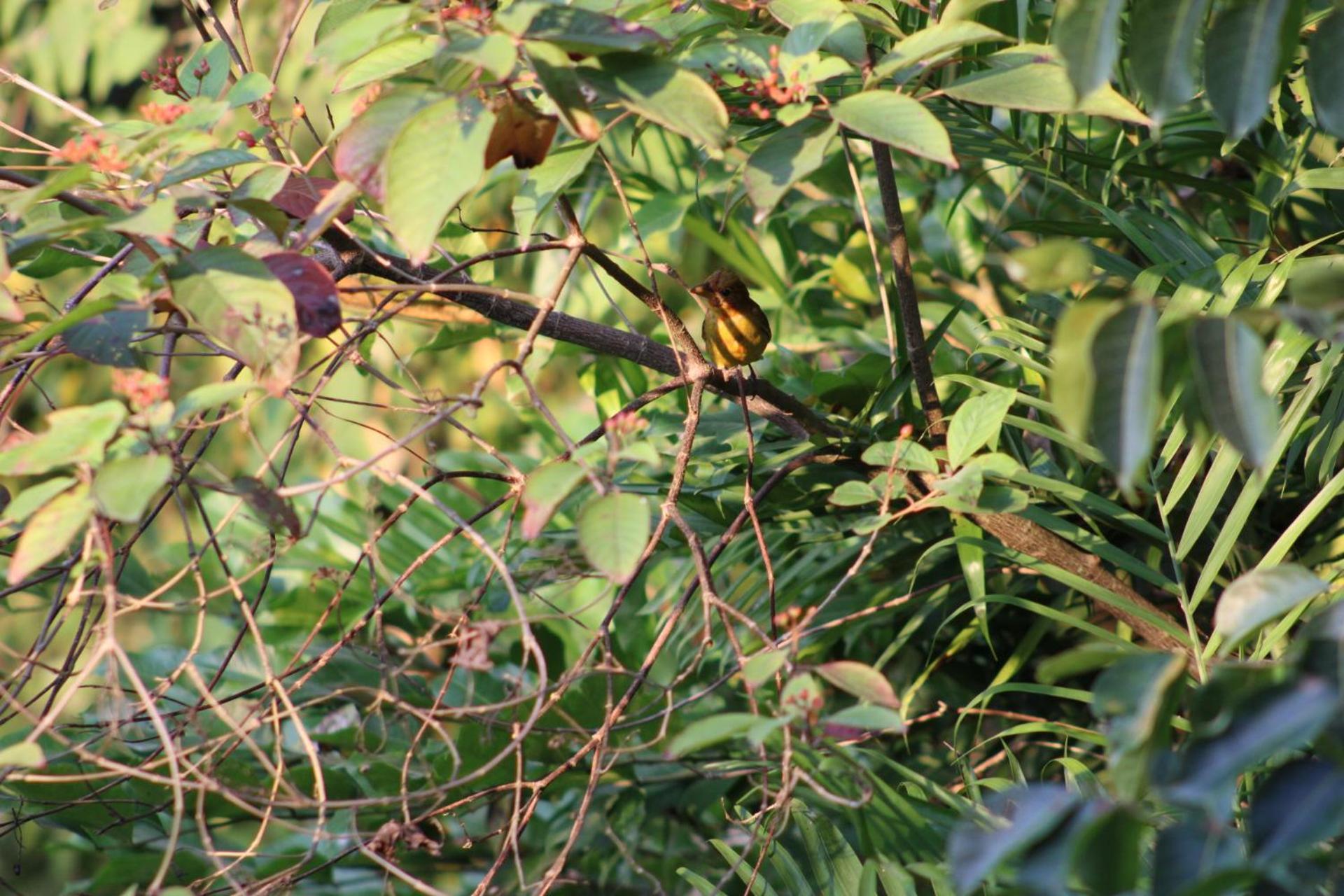 Posada Del Cerro El Remate Ngoại thất bức ảnh