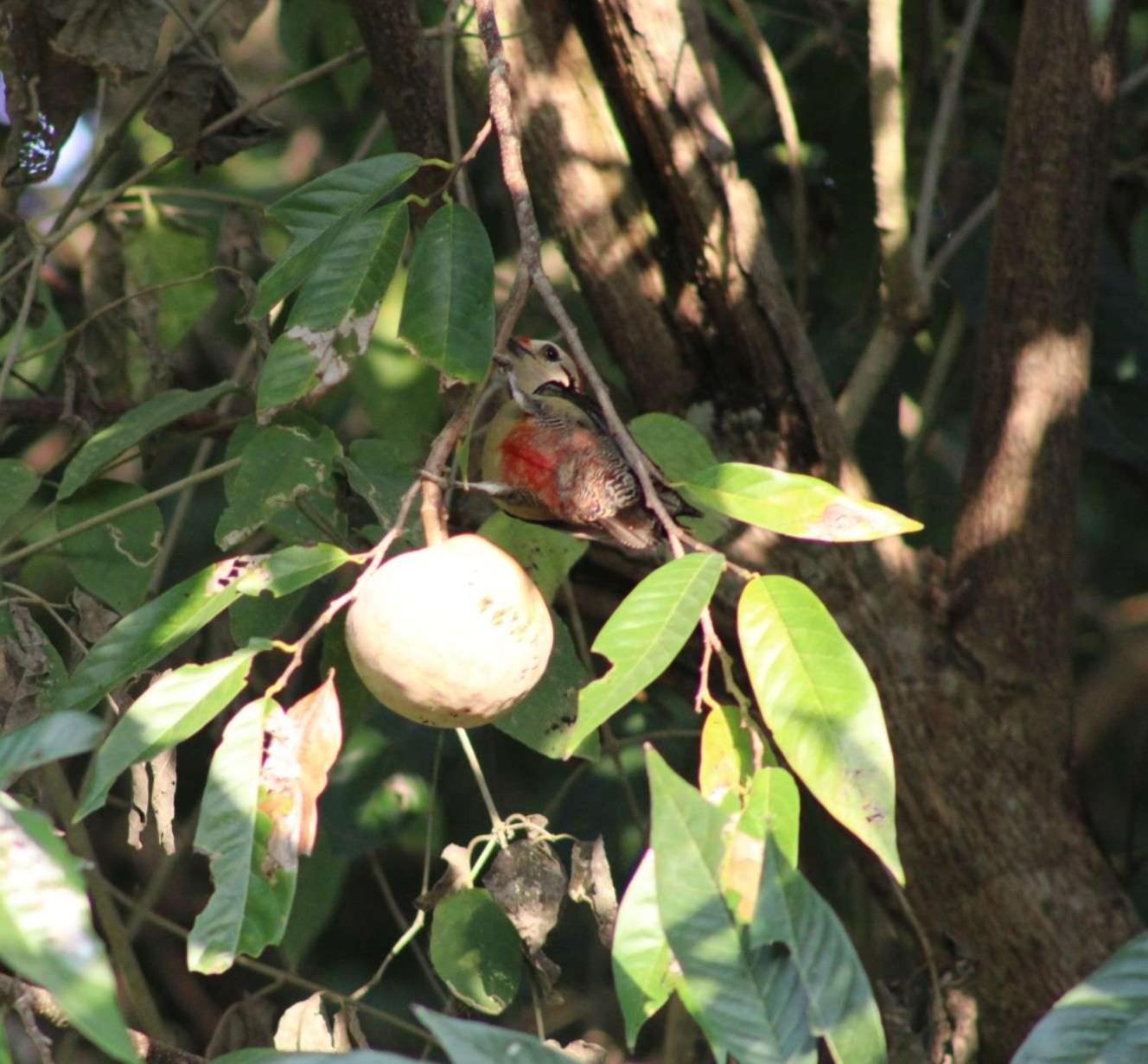 Posada Del Cerro El Remate Ngoại thất bức ảnh