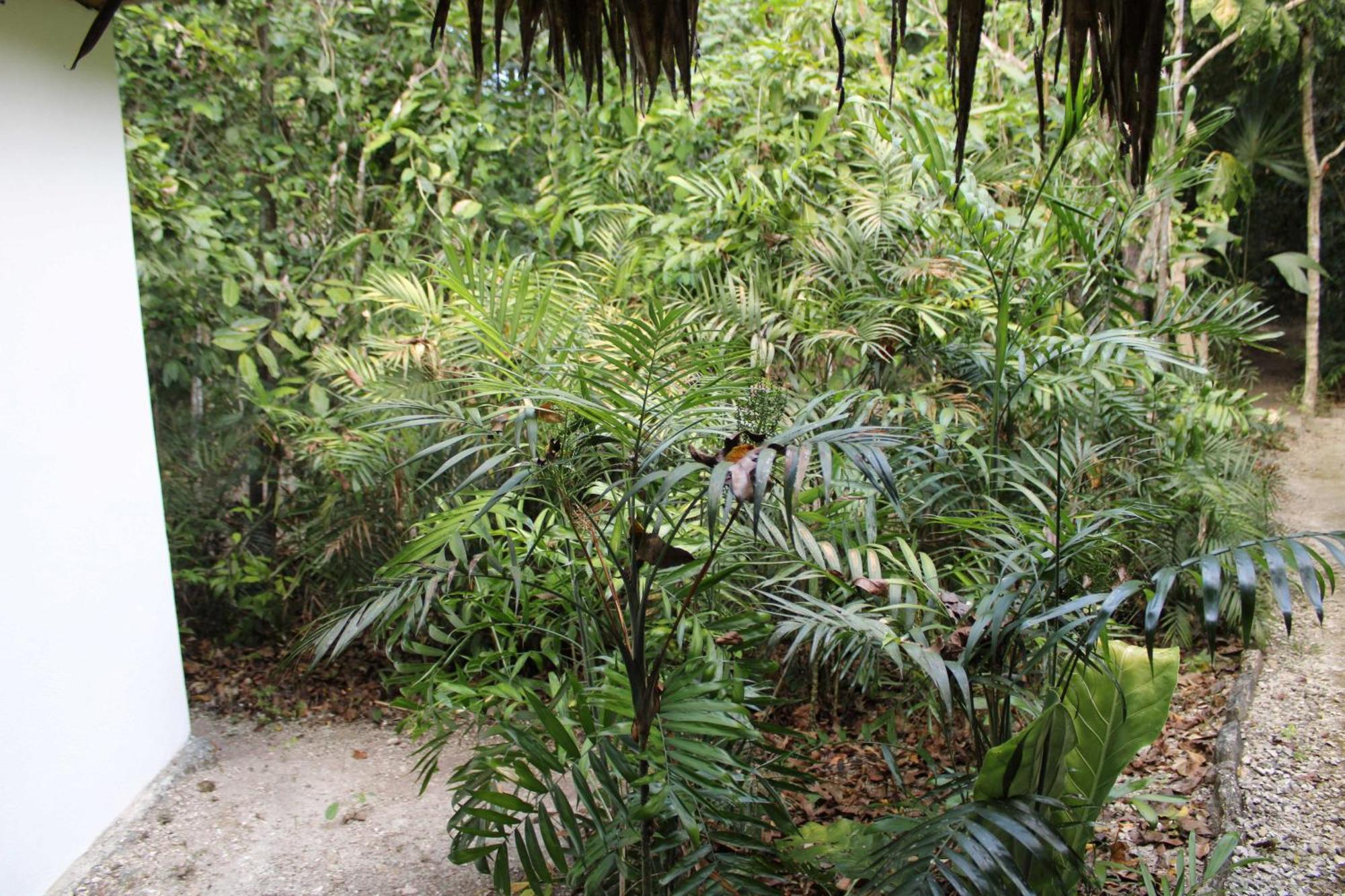 Posada Del Cerro El Remate Ngoại thất bức ảnh