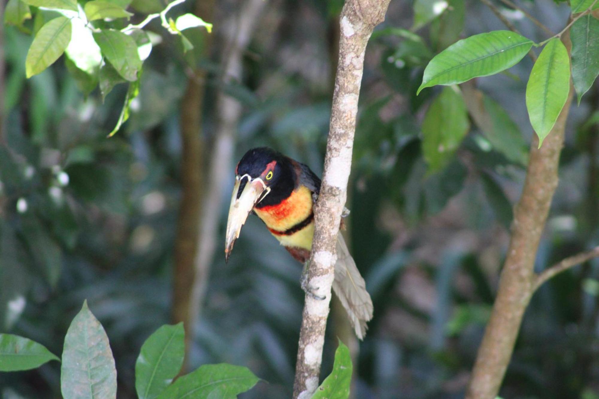 Posada Del Cerro El Remate Ngoại thất bức ảnh