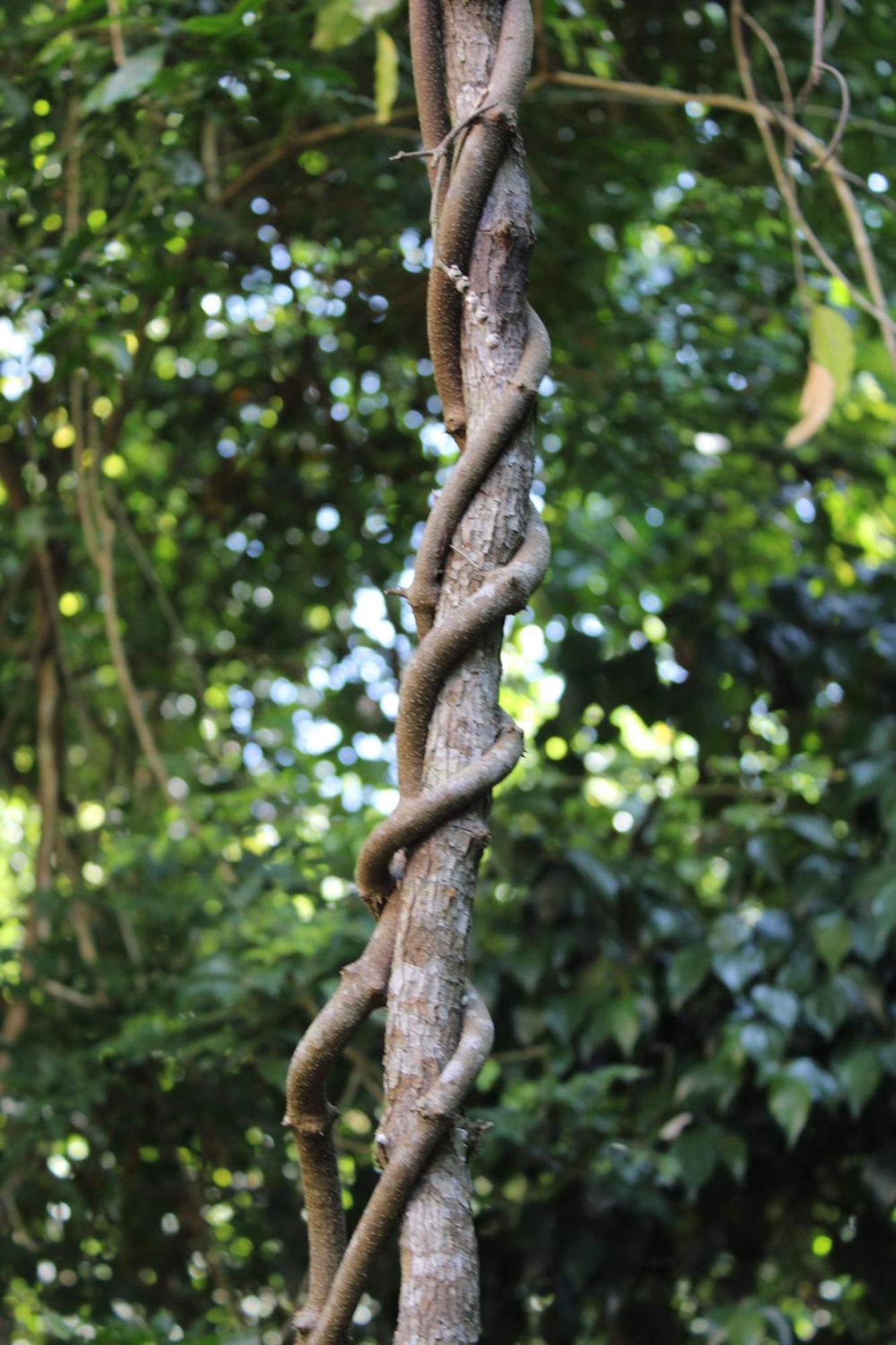 Posada Del Cerro El Remate Ngoại thất bức ảnh