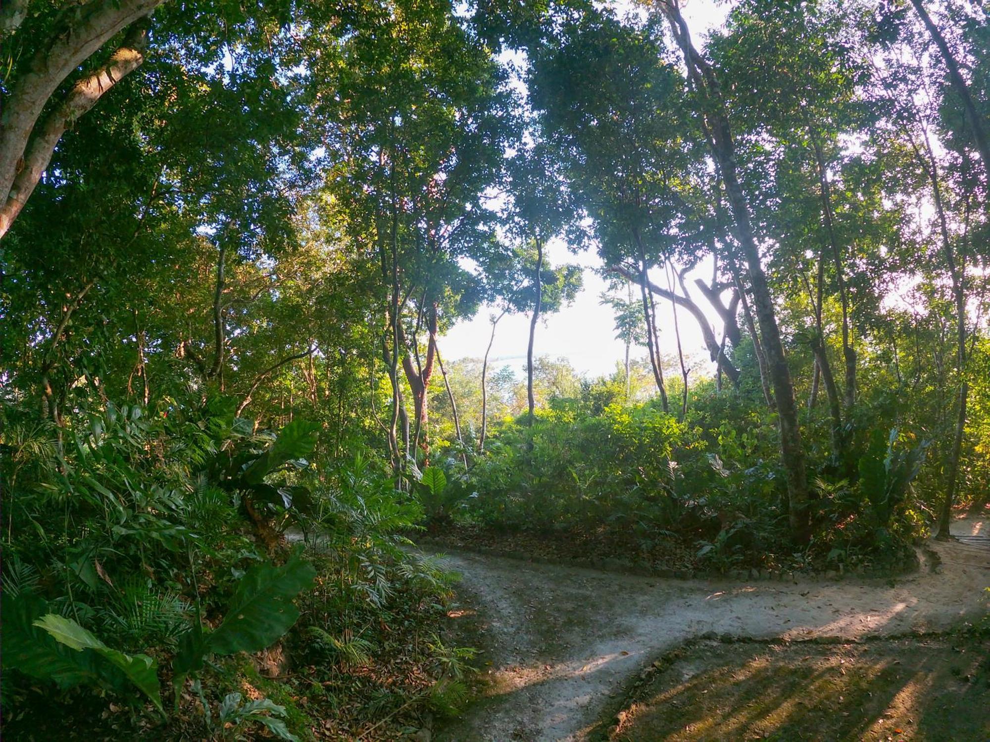 Posada Del Cerro El Remate Ngoại thất bức ảnh